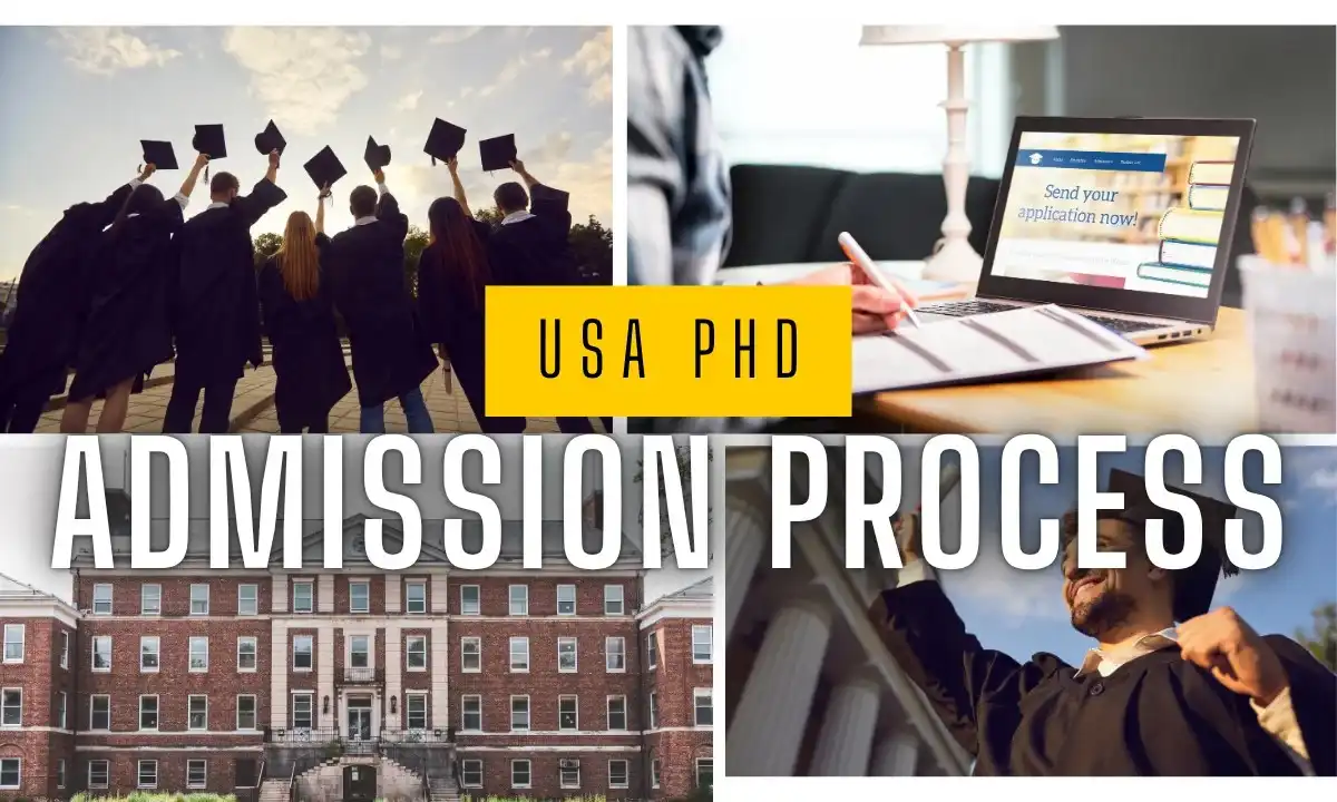 usa phd admission process